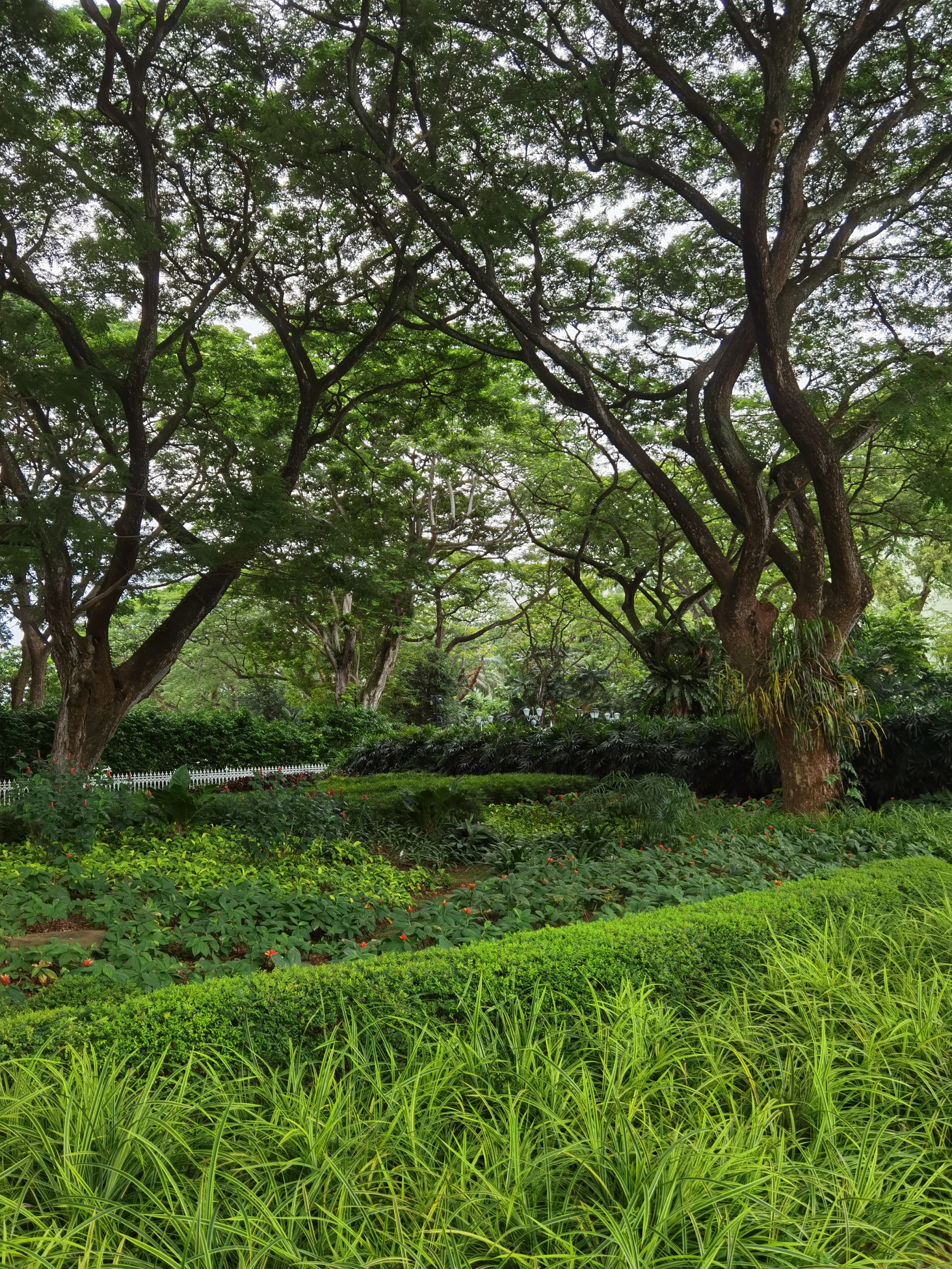 愿清浅的岁月里风景依然,许时光一份浅浅的回眸与相逢