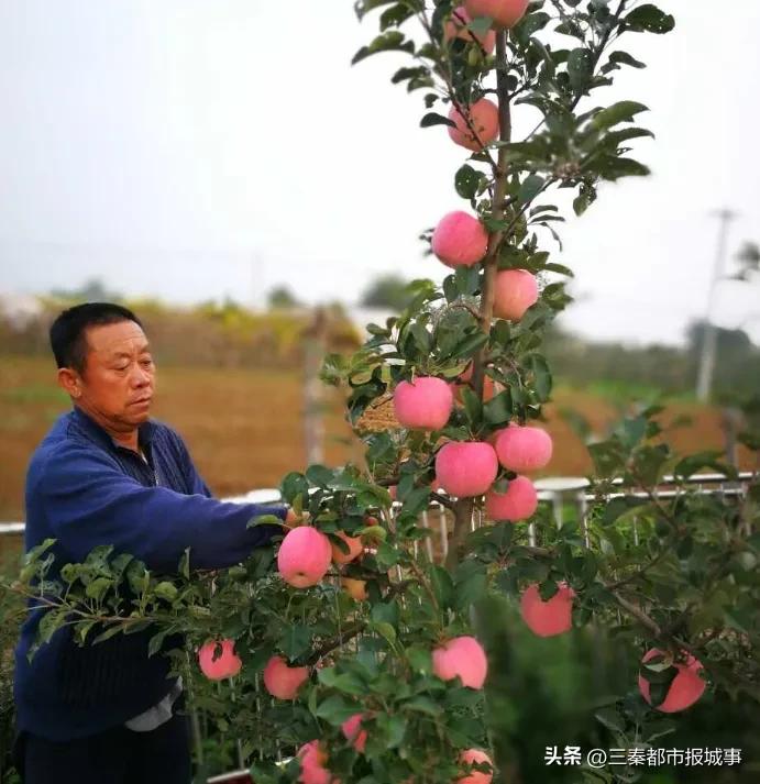 公共实训基地建设指标,千阳县公共实训基地