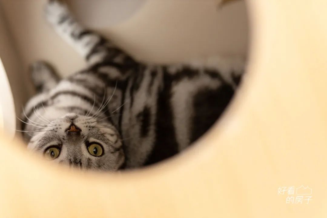 好看的房子还有一些细节,好看的房子外表