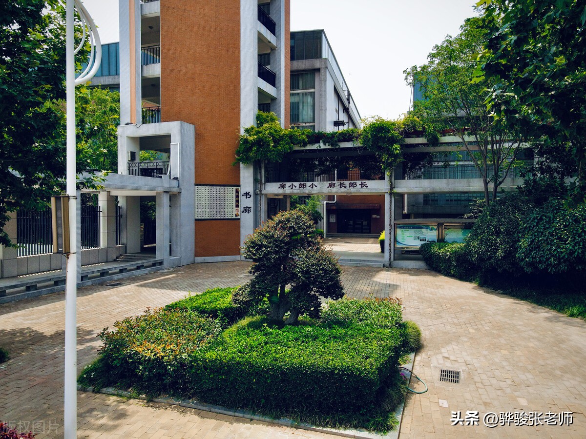 郑州外国语学校和省实验区别,郑州省实验中学和外国语中学