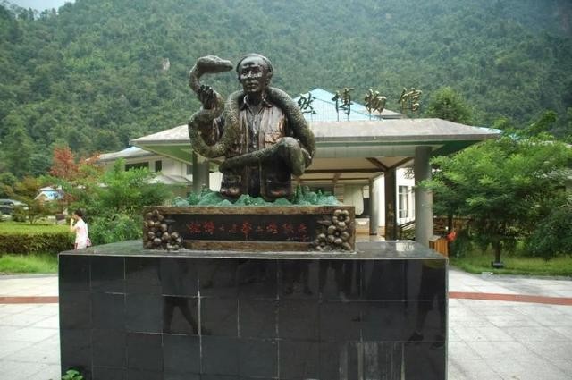 中国小青龙之称的蛇,比熊猫还珍稀的蛇