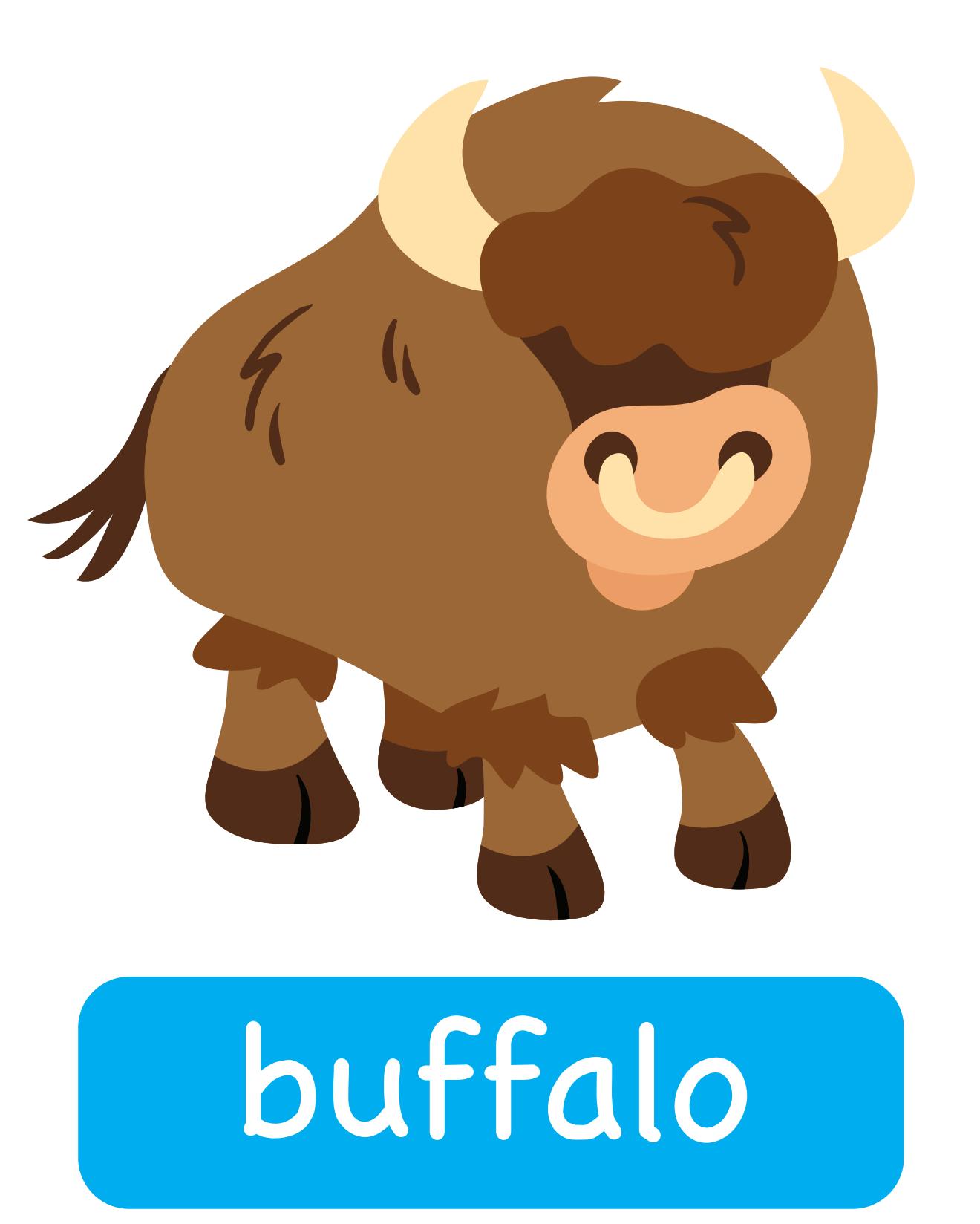 图说英语单词：高清动物类卡片，一图一单词