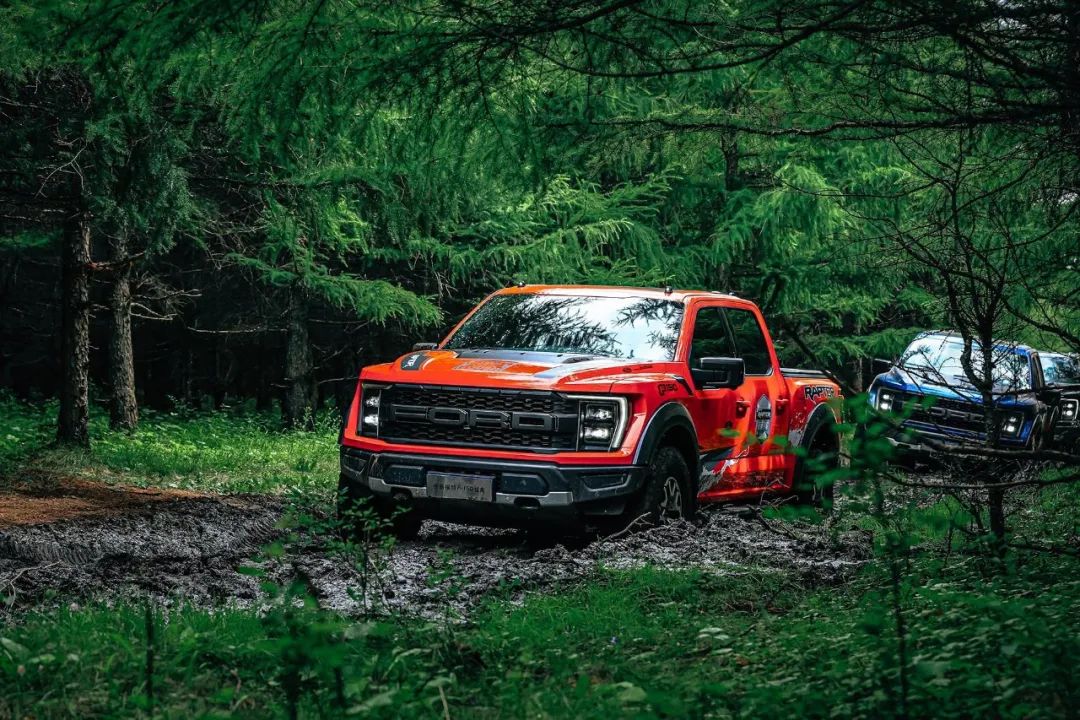 为啥福特f-150这么便宜,为什么福特f150很少见了