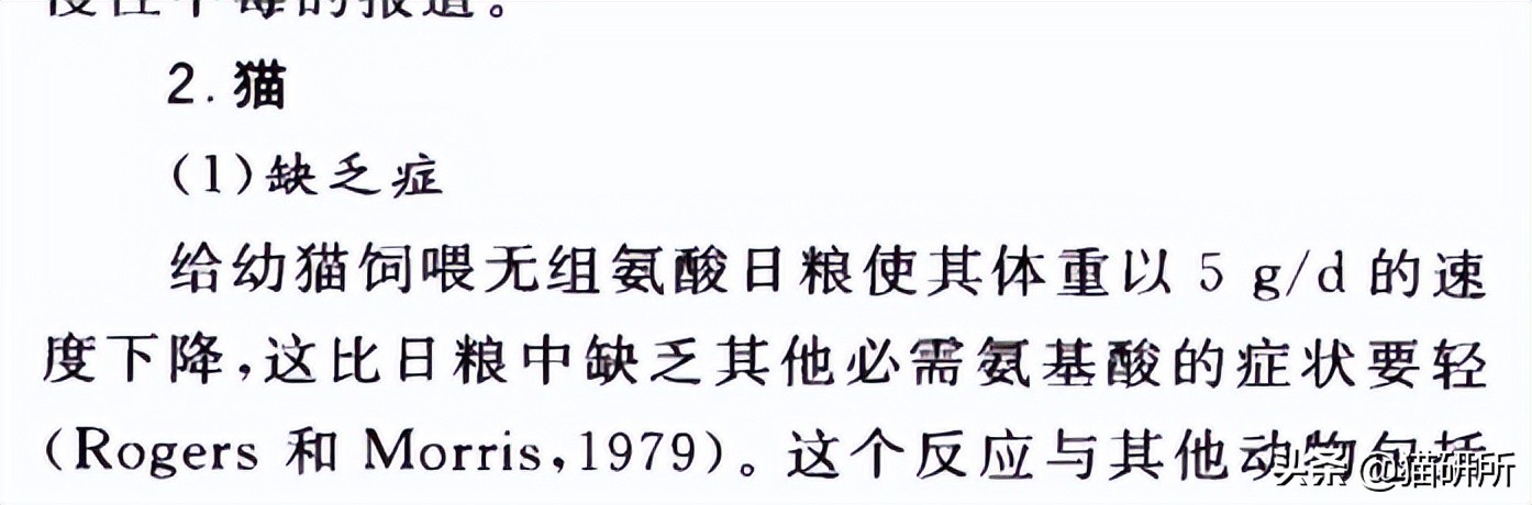 猫粮国标三标,纯福猫粮罐头和鲜朗罐头对比