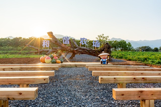 2023年农业农村部重点扶持,乡村振兴2023扶持有哪些项目