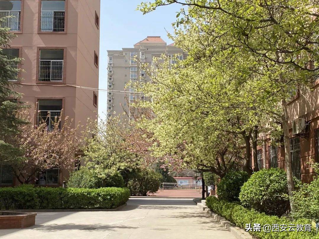 西安小升初高新公办学校最新消息,西安小升初西电中学