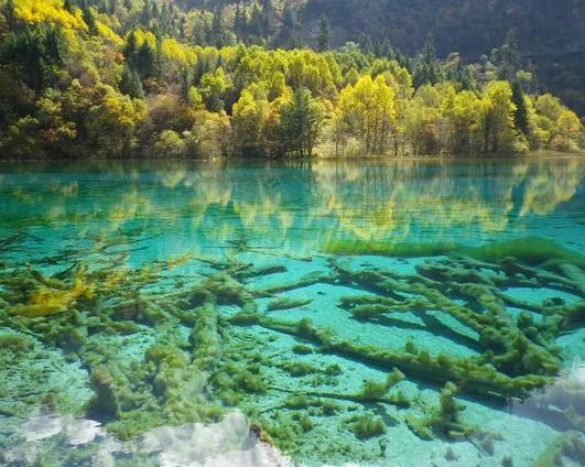 人间仙境九寨沟图片,人间仙境九寨风景图片