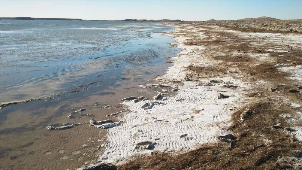 淡水会加剧土地盐碱化吗,淡水能导致盐碱化吗