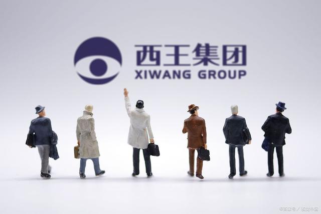 山东最牛的土豪村,山东第一大土豪村