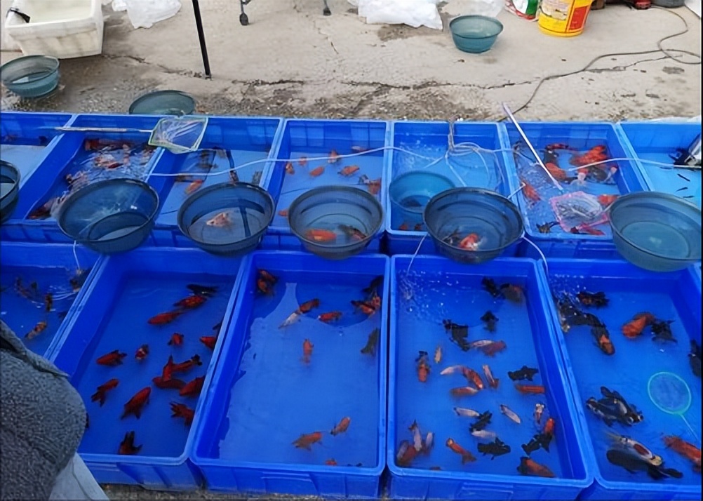 河南小伙子寻亲35年,河南男子寻亲多年未果