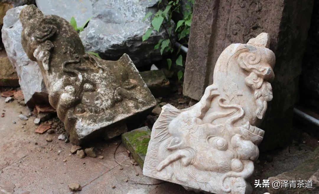 易武六大茶山茶的特点,易武茶的特点