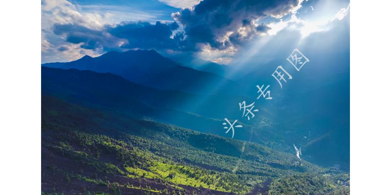 “姐，妈住院了，给5万”“你啥时候换妈了？我陪我妈逛街呢”