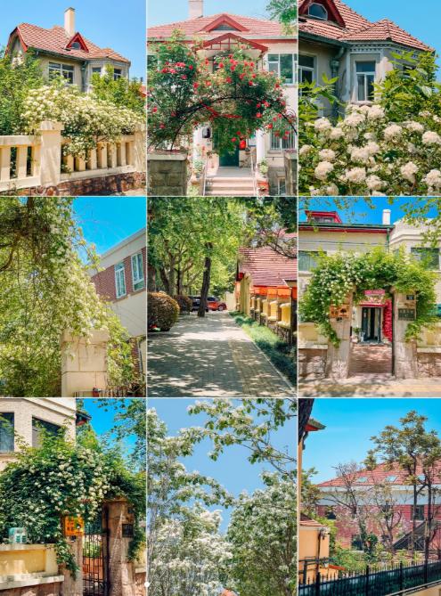 最值得去的城市排行,最值得去玩的五个城市