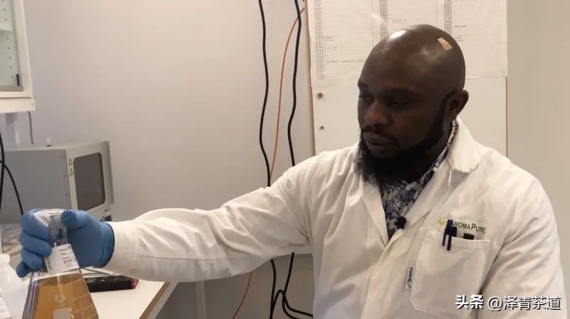 2022年茶行业未来发展与前景,未来十年茶行业的发展机会