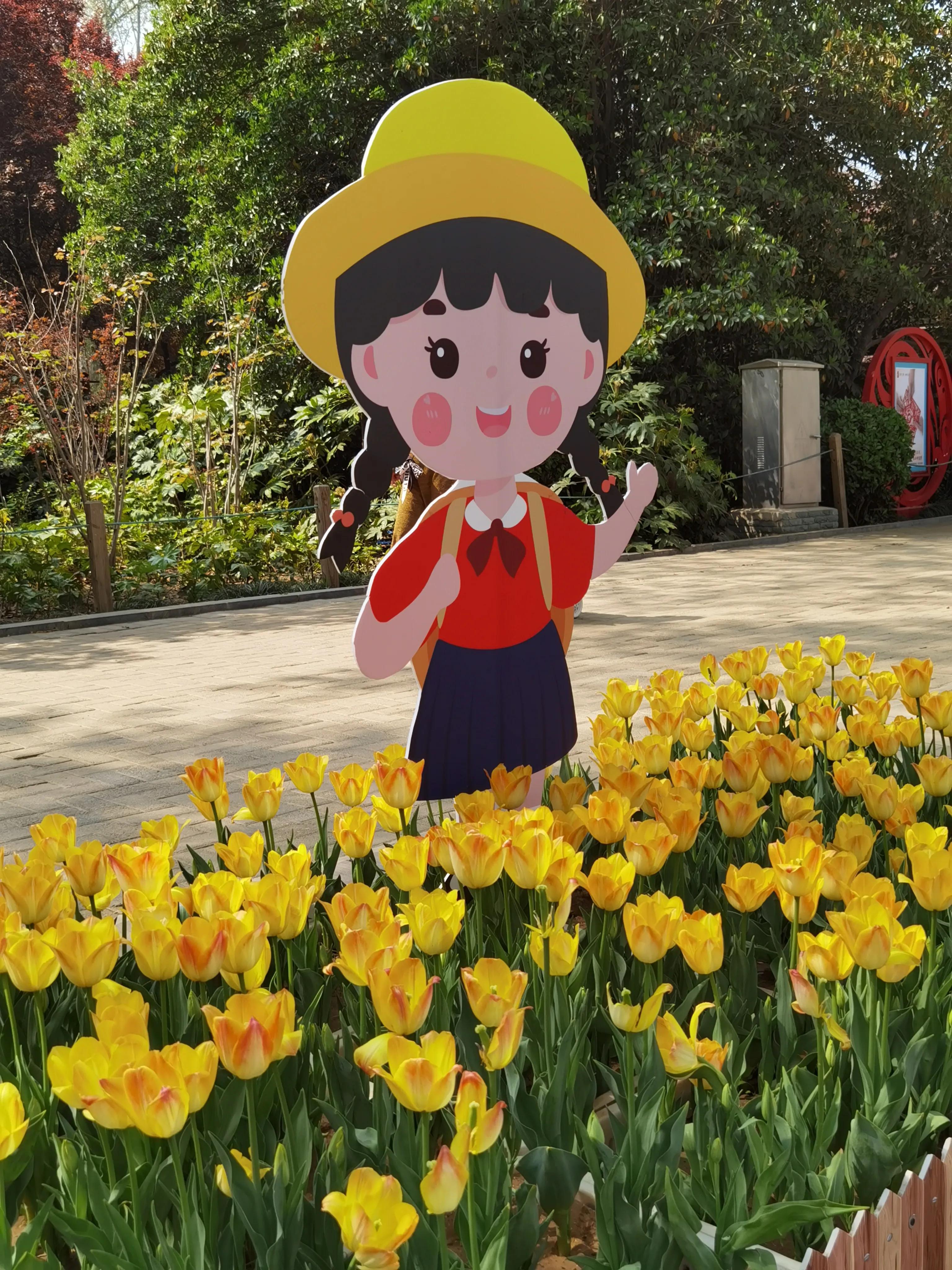 郁金香花语送长辈,郁金香花语永恒的爱与祝福