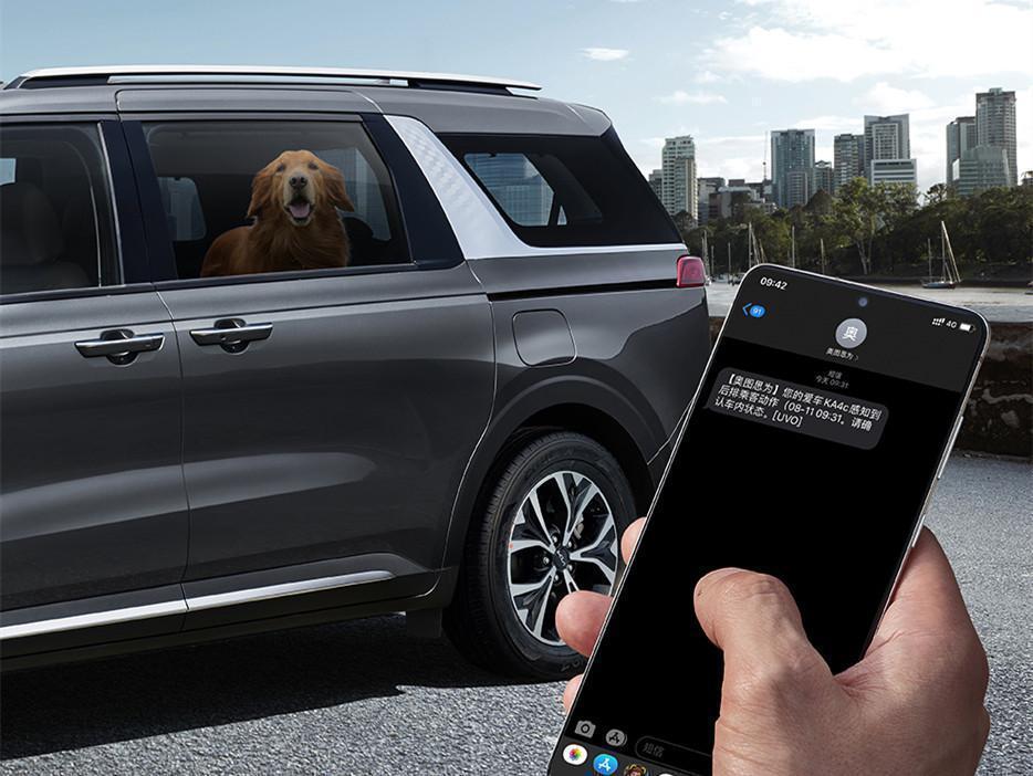 全新起亚嘉华实车很有商务风格,全新款起亚嘉华mpv版