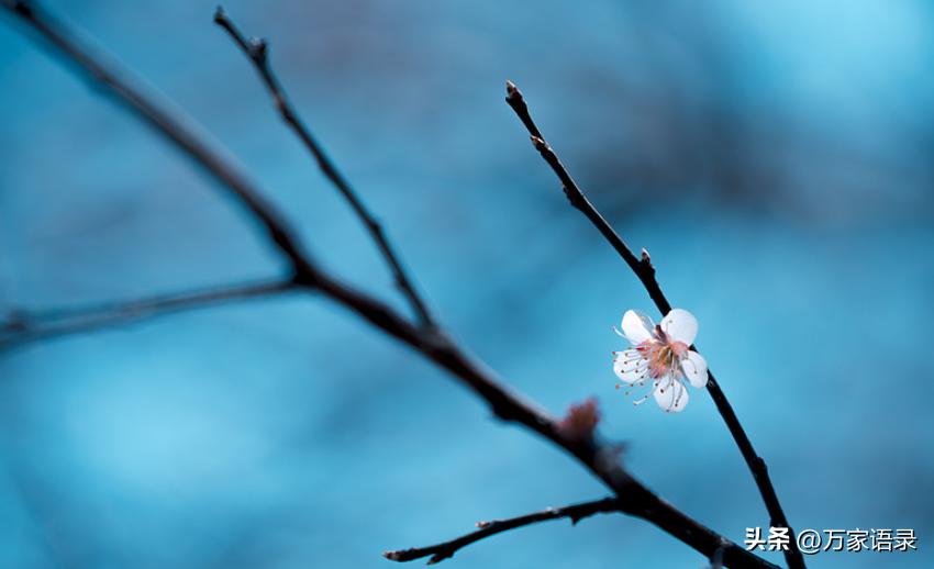 张爱玲的怨女适合20岁女孩子看吗,张爱玲怨女梗概