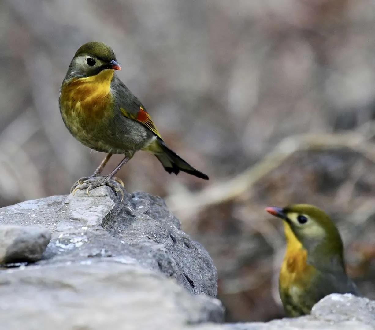 婚姻内和男性暧昧的女人结果如何,女人有了情人但还爱着丈夫