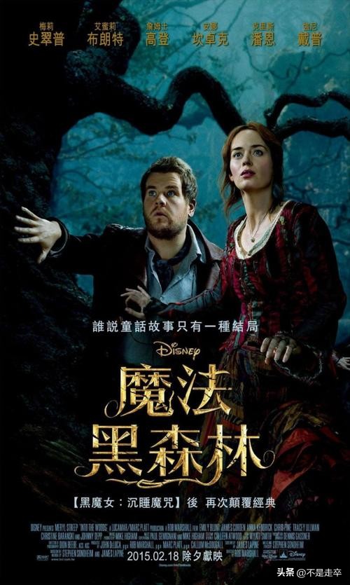 黑暗森林中的奇幻冒险,魔法黑森林看法