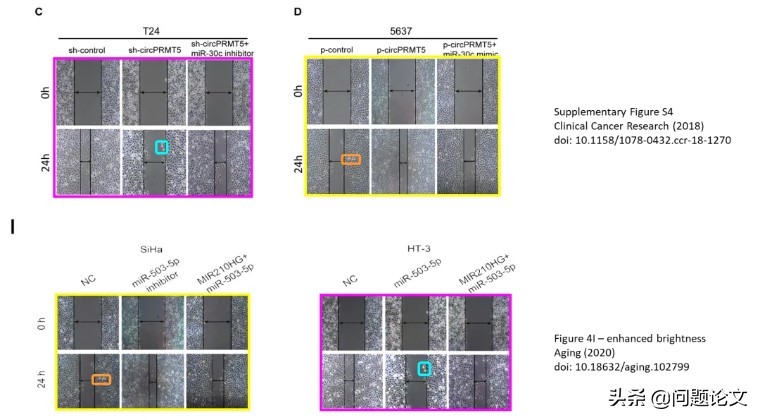 中山大学附属肿瘤医院与中大一院联合发表的12分论文又被质疑