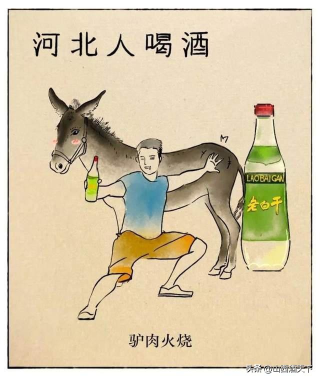 哪里酿的白酒最好喝,喝酒排行前十是哪个省