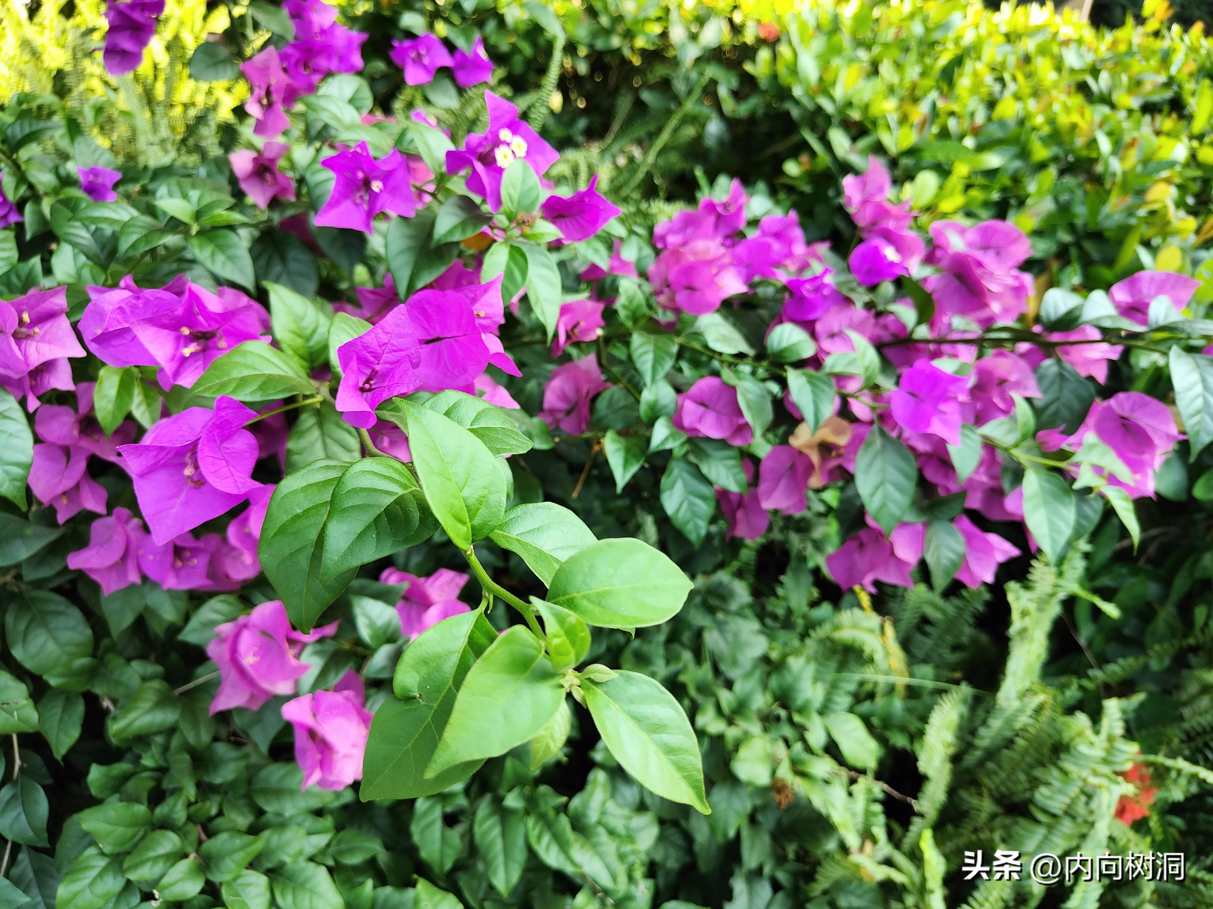 淘金山求水山徒步线路,求水山淘金山绿道在哪里