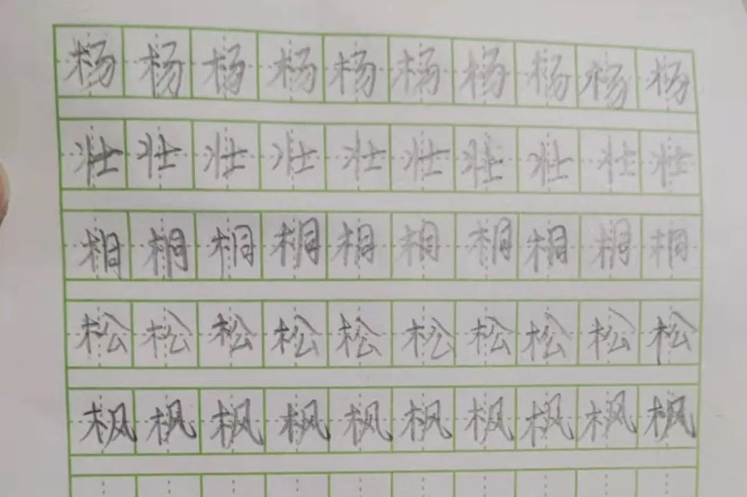 小学学霸练字二年级,练字小学二年级展示