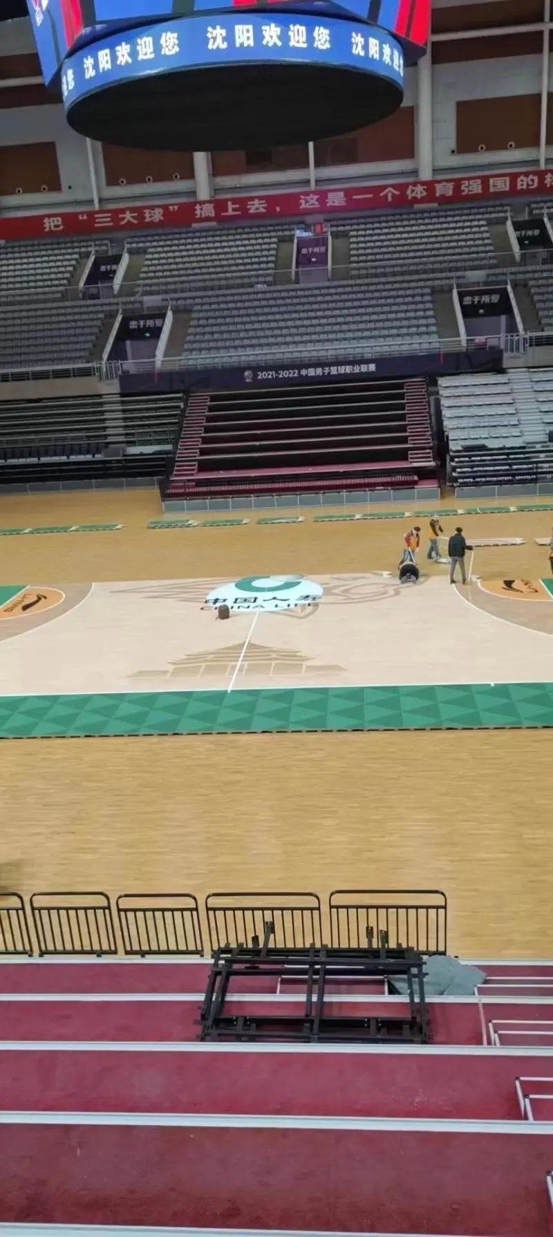 辽宁队海报豹子,辽宁队豹子