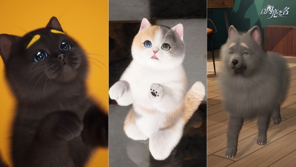 新宠物换装游戏,好玩的宠物换装游戏