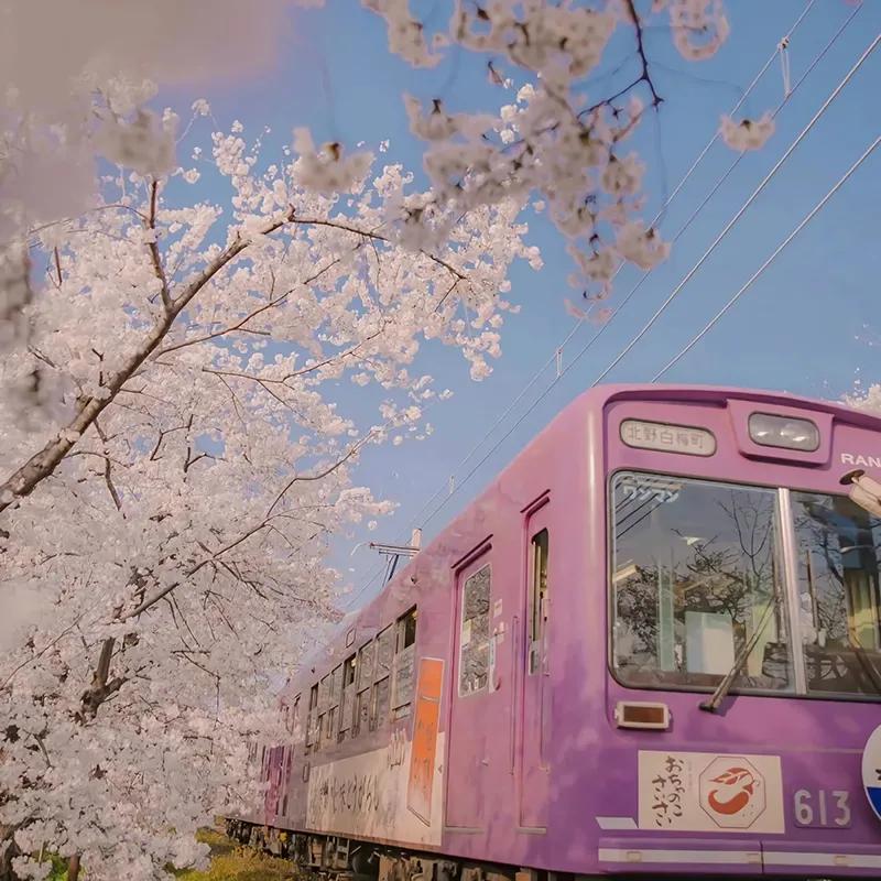 第二章财富的本质,第二章收入费用利润