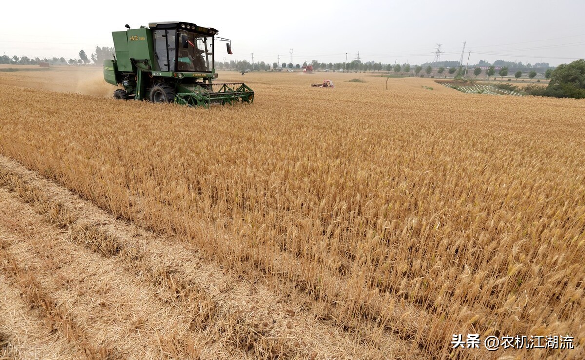 中联谷王小麦收割机,谷王小麦收割机vs雷沃小麦收割机