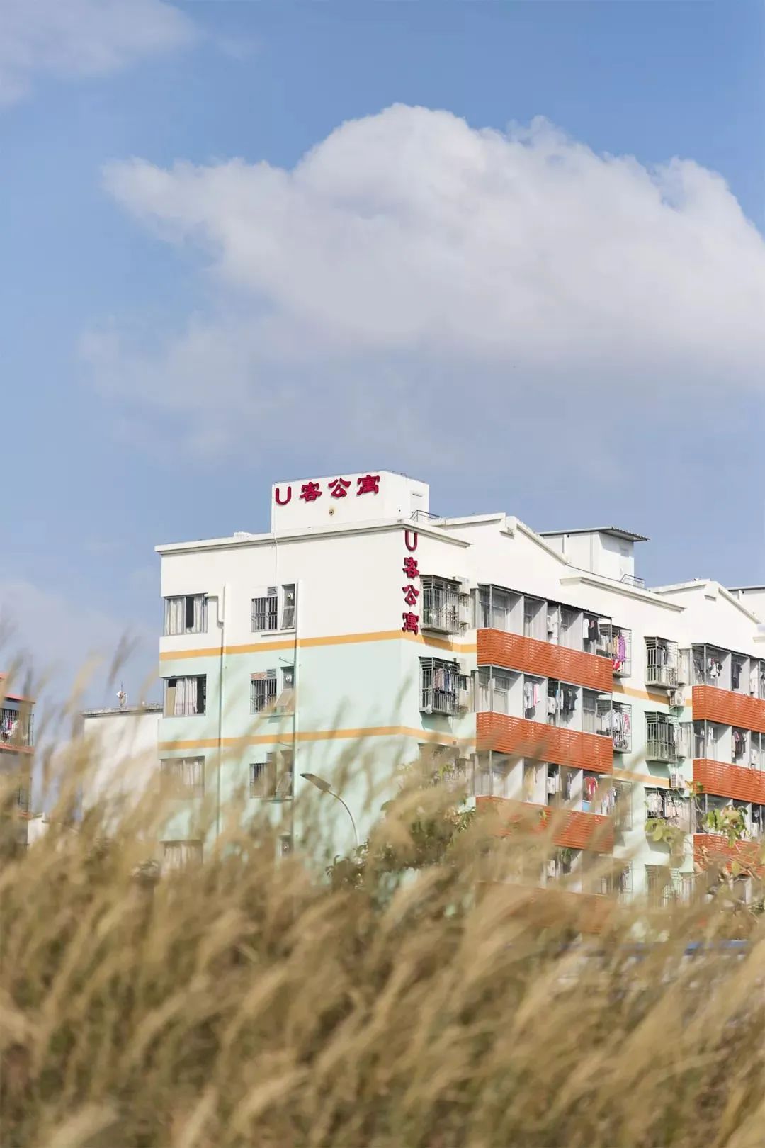 深圳10个小众打卡地免费游玩,深圳小众海边游玩攻略