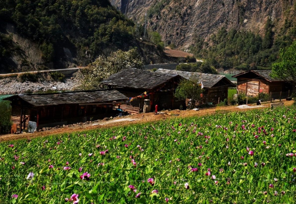 暑假游玩5天推荐的好地方,暑假值得去的旅游地点
