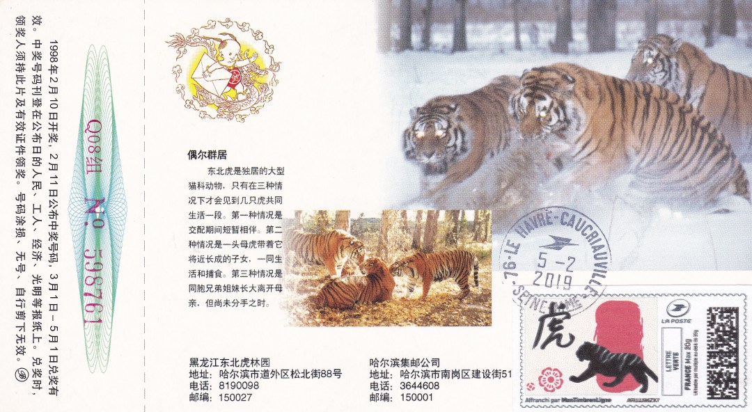 壬寅年虎首银章,壬寅年生肖虎每月运势详解