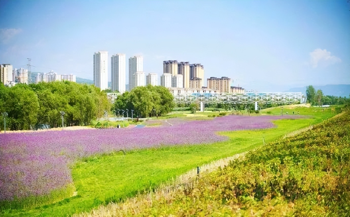 西安周边绿色森林在哪,西安免费森林公园最好玩的地方