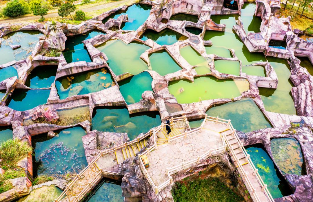 东海最后一处冷门小县城，藏了个海上仙子国，一口小海鲜封神