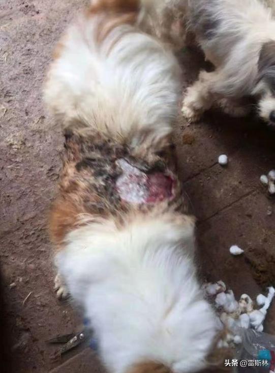 你的善良成为别人的资本,你的善良成了别人伤害你的利剑