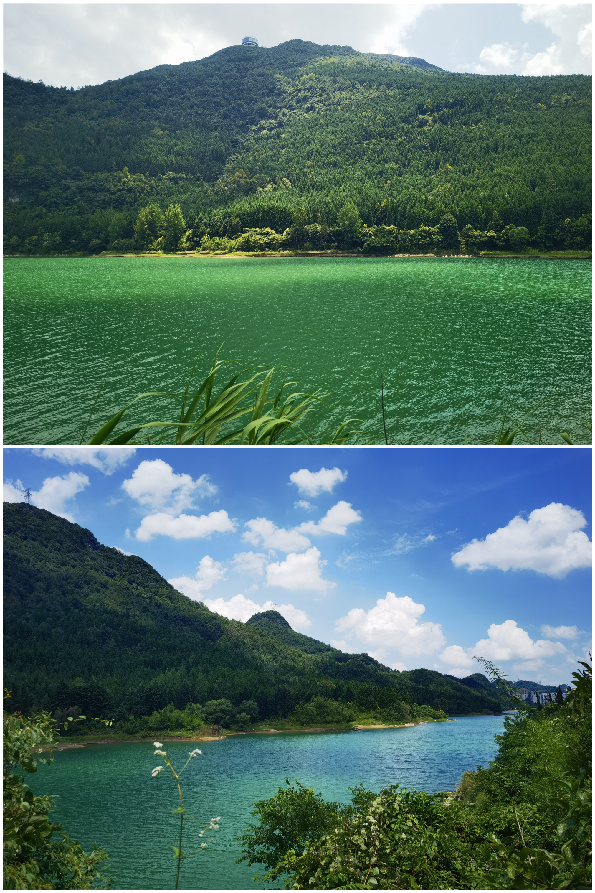 六盘水19度夏天,19度的夏天六盘水