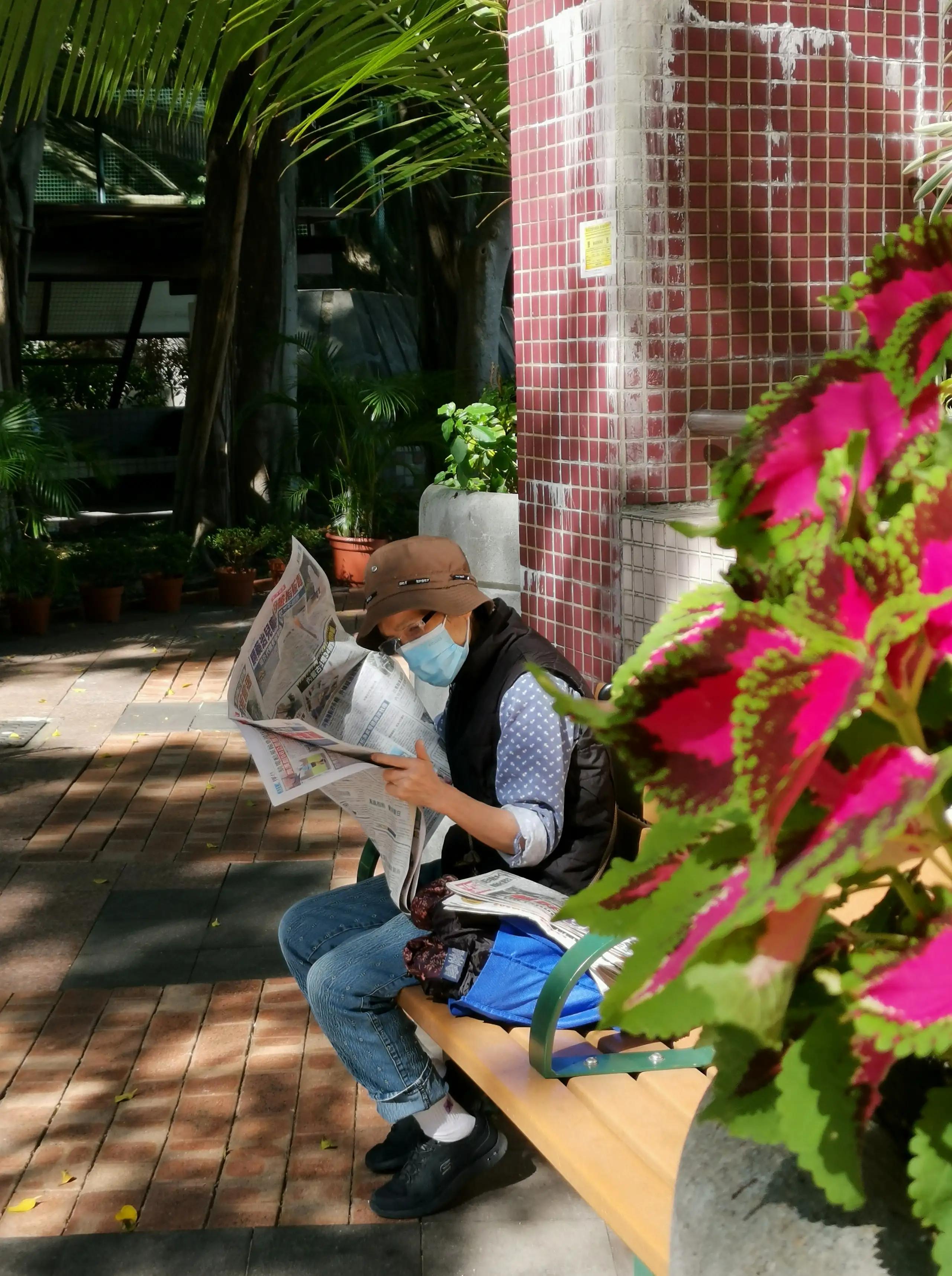 香港的城市空间布局,香港的城市屋