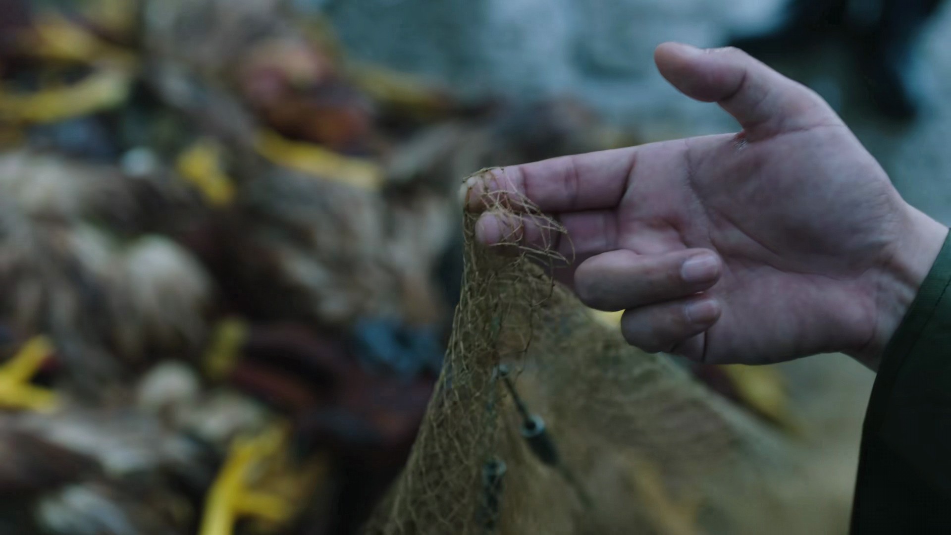 才播2集，口碑爆了，剧情高能，老戏骨惊艳，高鑫新剧凭什么？