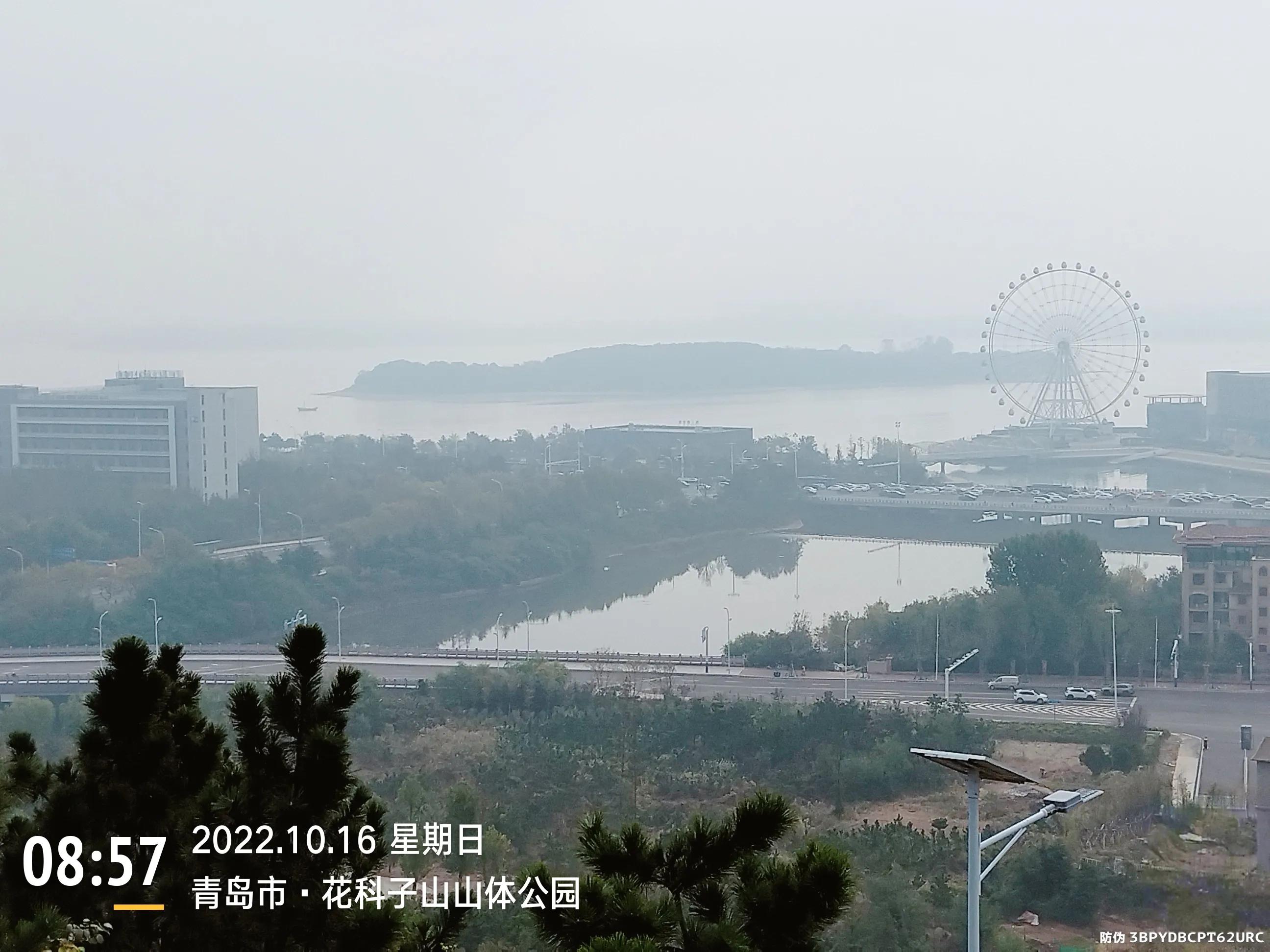 青岛西海岸赏花攻略,青岛海滨风景区一日游攻略