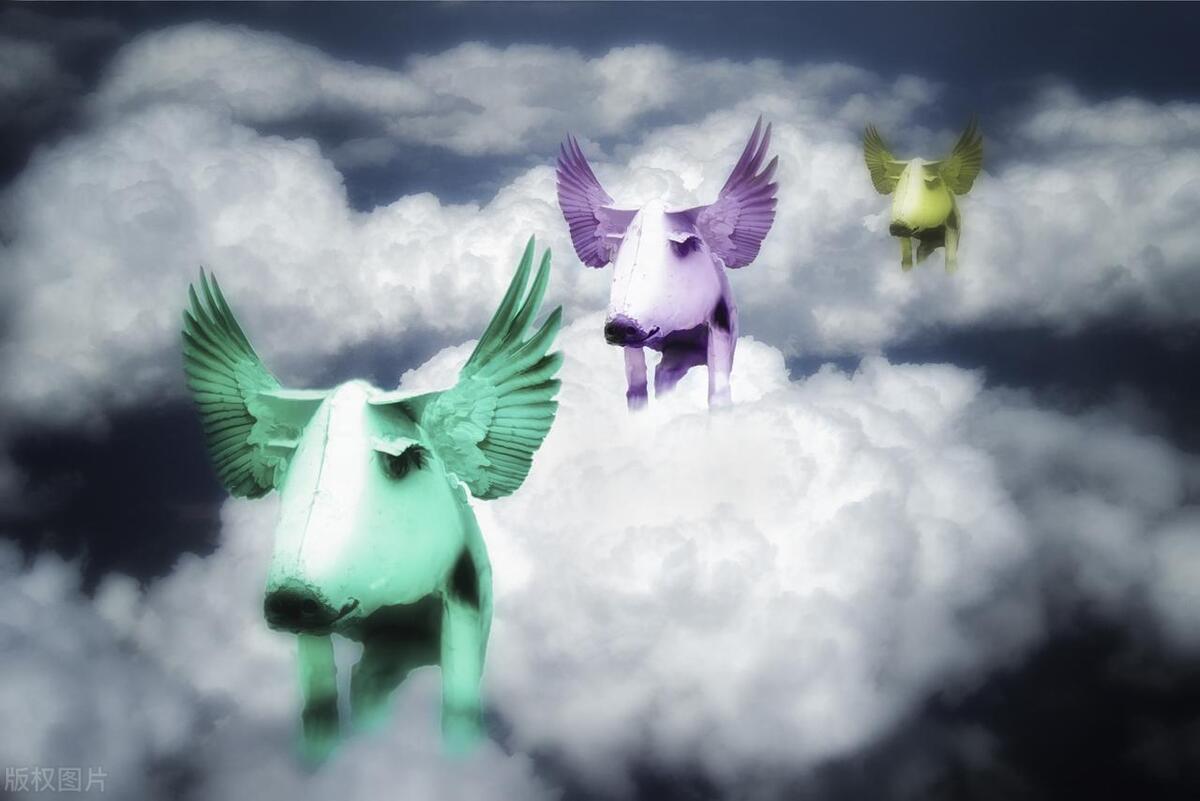 天涯社区关停解读,天涯社区衰落原因