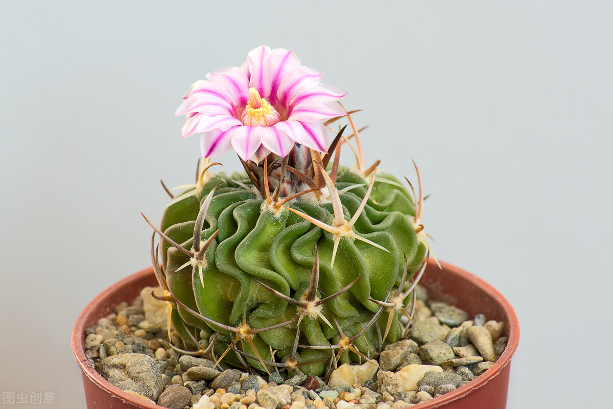 早安问候暖心治愈语录