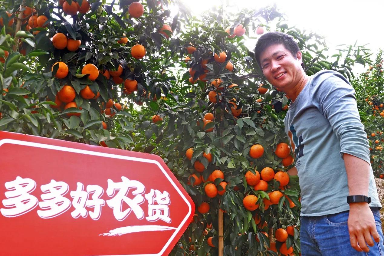 90后新农人逐梦,90后新农人奋斗