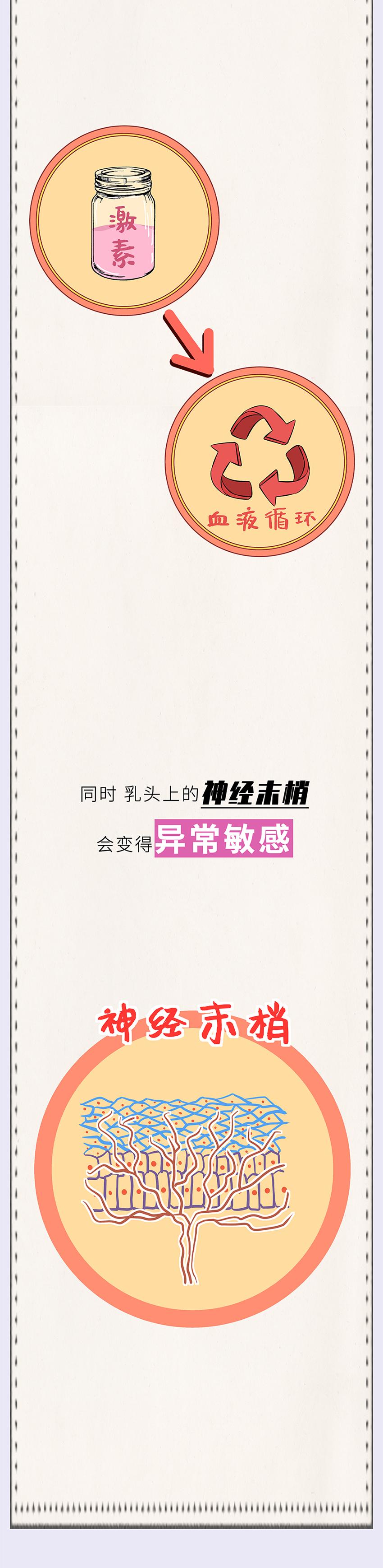 女生长大后身体会有什么变化,女孩每个年龄段的身心变化