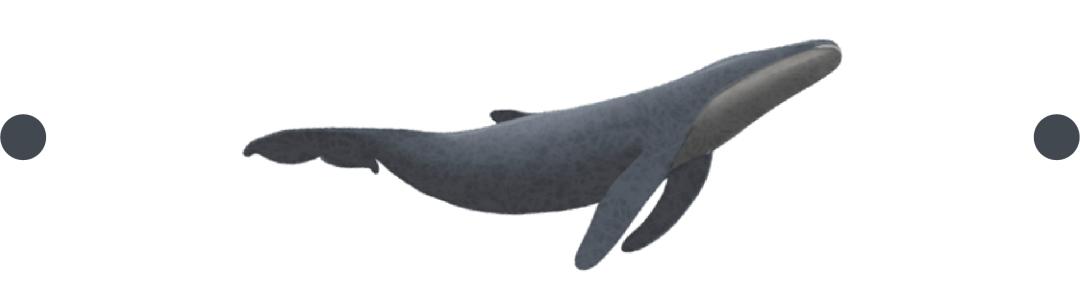 我把女儿从补课班里偷出来了