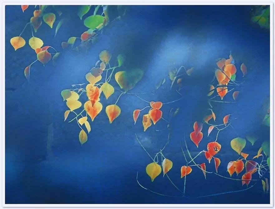 鑹插僵鏋勬垚浼樼浣滃搧,鑹插僵閫犲瀷鎽勫奖鏁欑▼