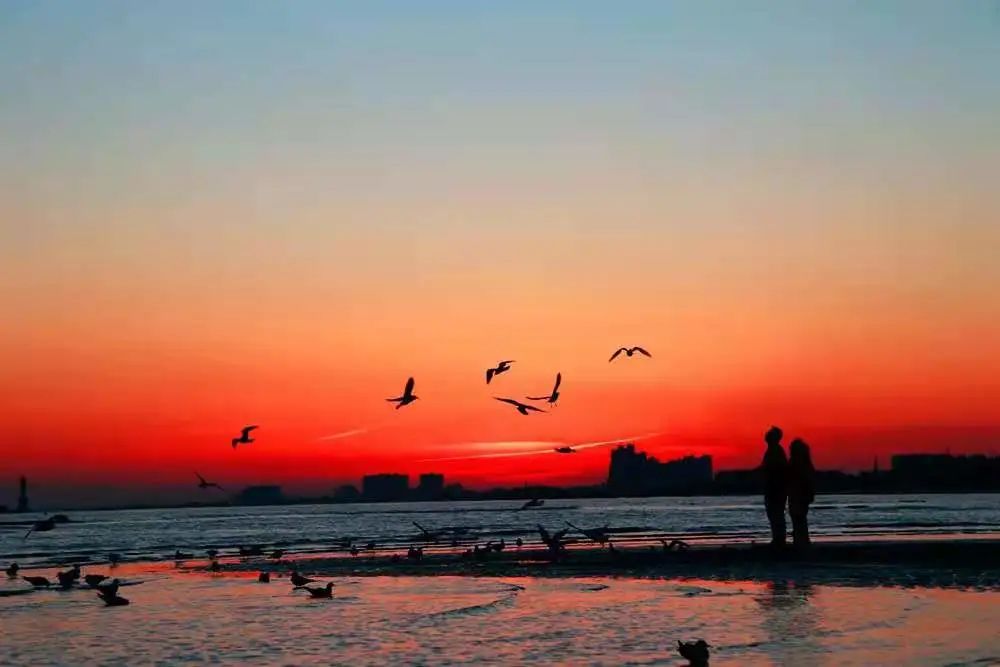 赞美秦皇岛的夏天,想念秦皇岛的夏天