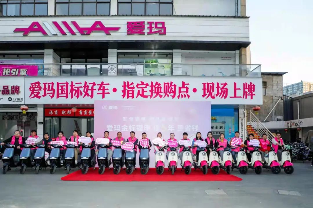 新国标爱玛改款,爱玛高端新国标