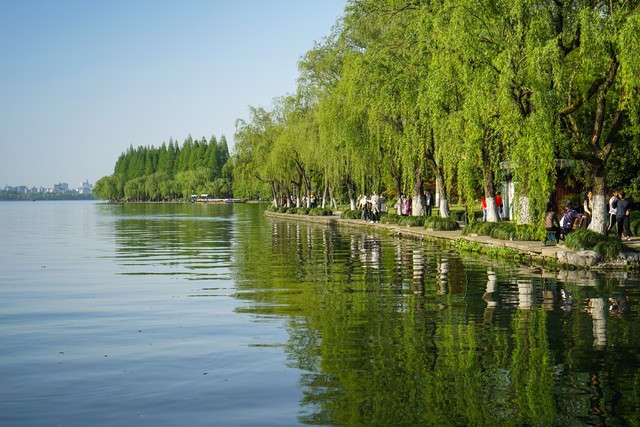 咏柳唐贺知章的古诗,咏柳贺知章教学实录